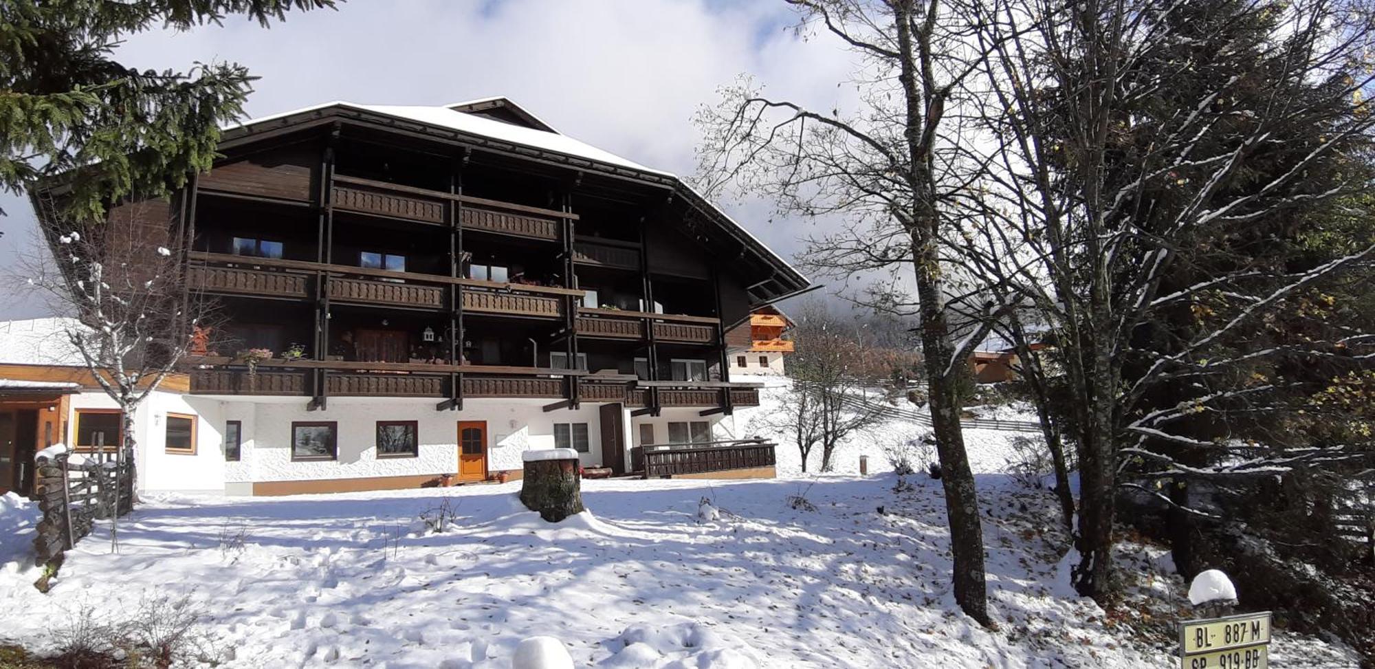 Fewo Brunnach By Isa Badkleinkirchheim バド クラインキルヒハイム エクステリア 写真
